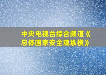 中央电视台综合频道《总体国家安全观纵横》