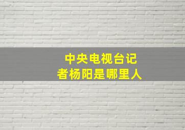 中央电视台记者杨阳是哪里人