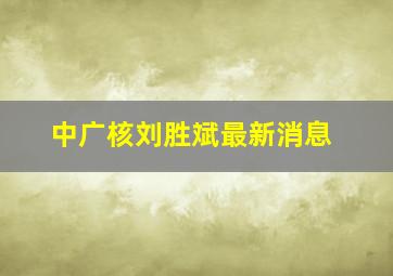 中广核刘胜斌最新消息