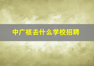 中广核去什么学校招聘