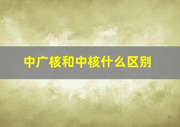 中广核和中核什么区别