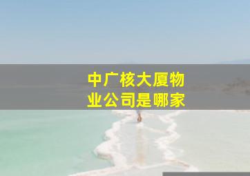 中广核大厦物业公司是哪家