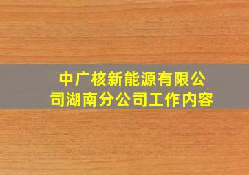 中广核新能源有限公司湖南分公司工作内容