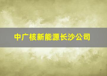 中广核新能源长沙公司