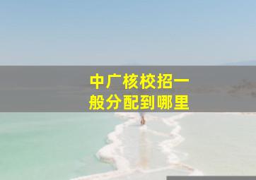 中广核校招一般分配到哪里