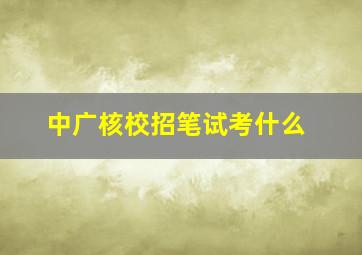 中广核校招笔试考什么