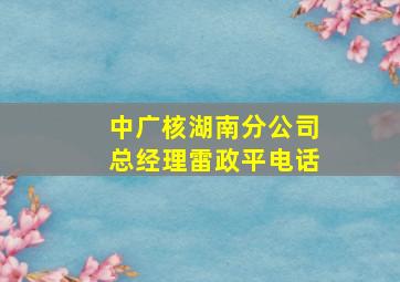 中广核湖南分公司总经理雷政平电话