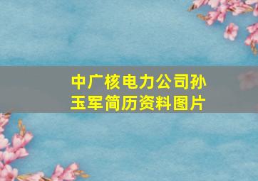 中广核电力公司孙玉军简历资料图片