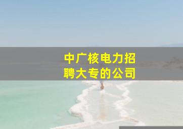 中广核电力招聘大专的公司