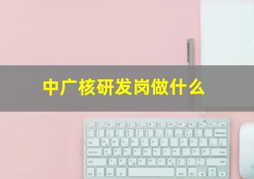 中广核研发岗做什么