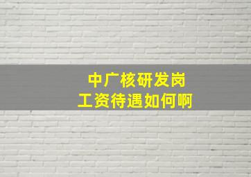 中广核研发岗工资待遇如何啊