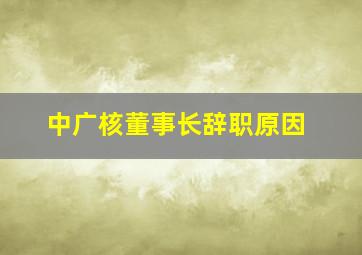 中广核董事长辞职原因