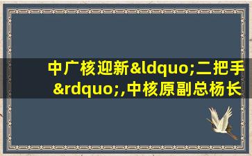 中广核迎新“二把手”,中核原副总杨长利接任张善明