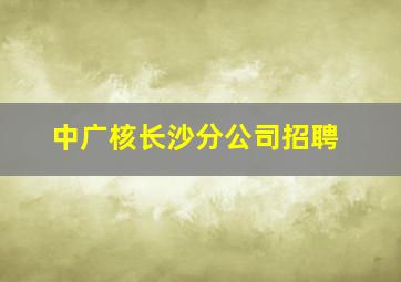 中广核长沙分公司招聘