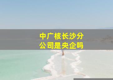 中广核长沙分公司是央企吗