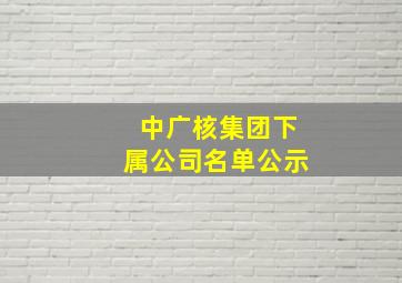 中广核集团下属公司名单公示