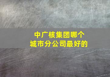 中广核集团哪个城市分公司最好的