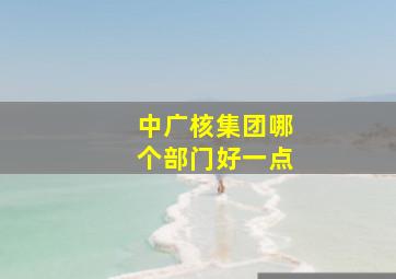 中广核集团哪个部门好一点