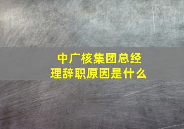 中广核集团总经理辞职原因是什么