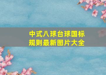 中式八球台球国标规则最新图片大全