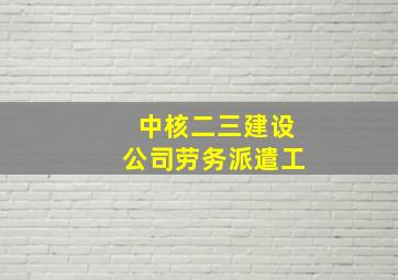 中核二三建设公司劳务派遣工