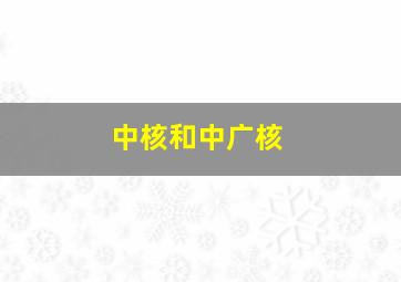 中核和中广核