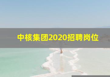 中核集团2020招聘岗位