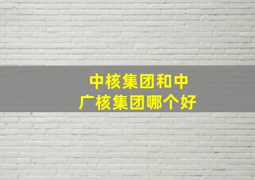 中核集团和中广核集团哪个好