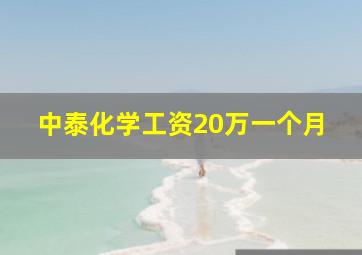 中泰化学工资20万一个月