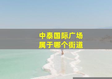 中泰国际广场属于哪个街道