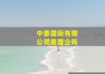 中泰国际有限公司是国企吗