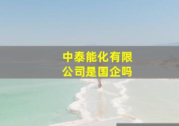 中泰能化有限公司是国企吗