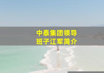 中泰集团领导班子江军简介