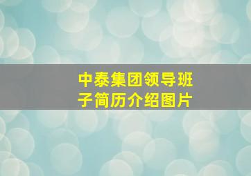 中泰集团领导班子简历介绍图片