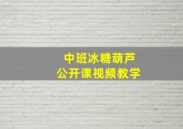 中班冰糖葫芦公开课视频教学