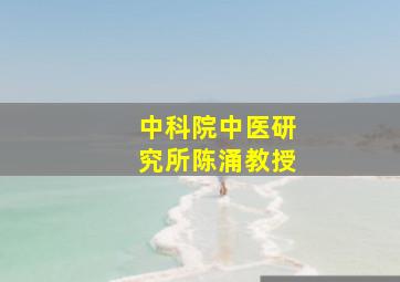 中科院中医研究所陈涌教授