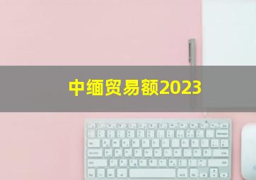 中缅贸易额2023