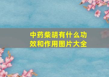 中药柴胡有什么功效和作用图片大全