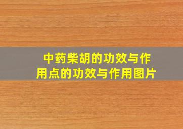 中药柴胡的功效与作用点的功效与作用图片