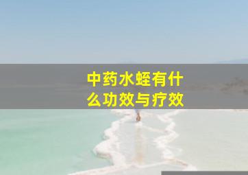 中药水蛭有什么功效与疗效