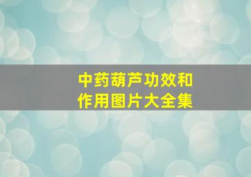 中药葫芦功效和作用图片大全集