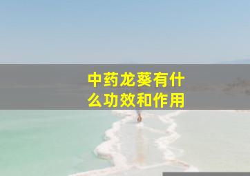 中药龙葵有什么功效和作用