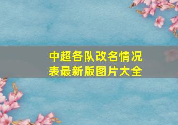 中超各队改名情况表最新版图片大全