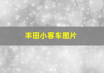 丰田小客车图片