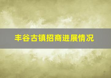 丰谷古镇招商进展情况