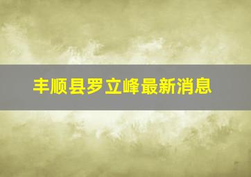 丰顺县罗立峰最新消息