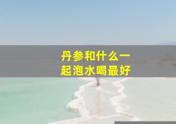 丹参和什么一起泡水喝最好