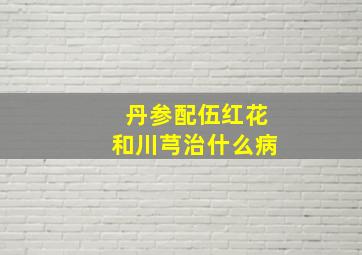 丹参配伍红花和川芎治什么病