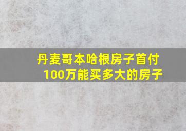 丹麦哥本哈根房子首付100万能买多大的房子