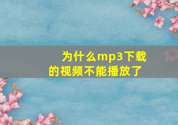 为什么mp3下载的视频不能播放了